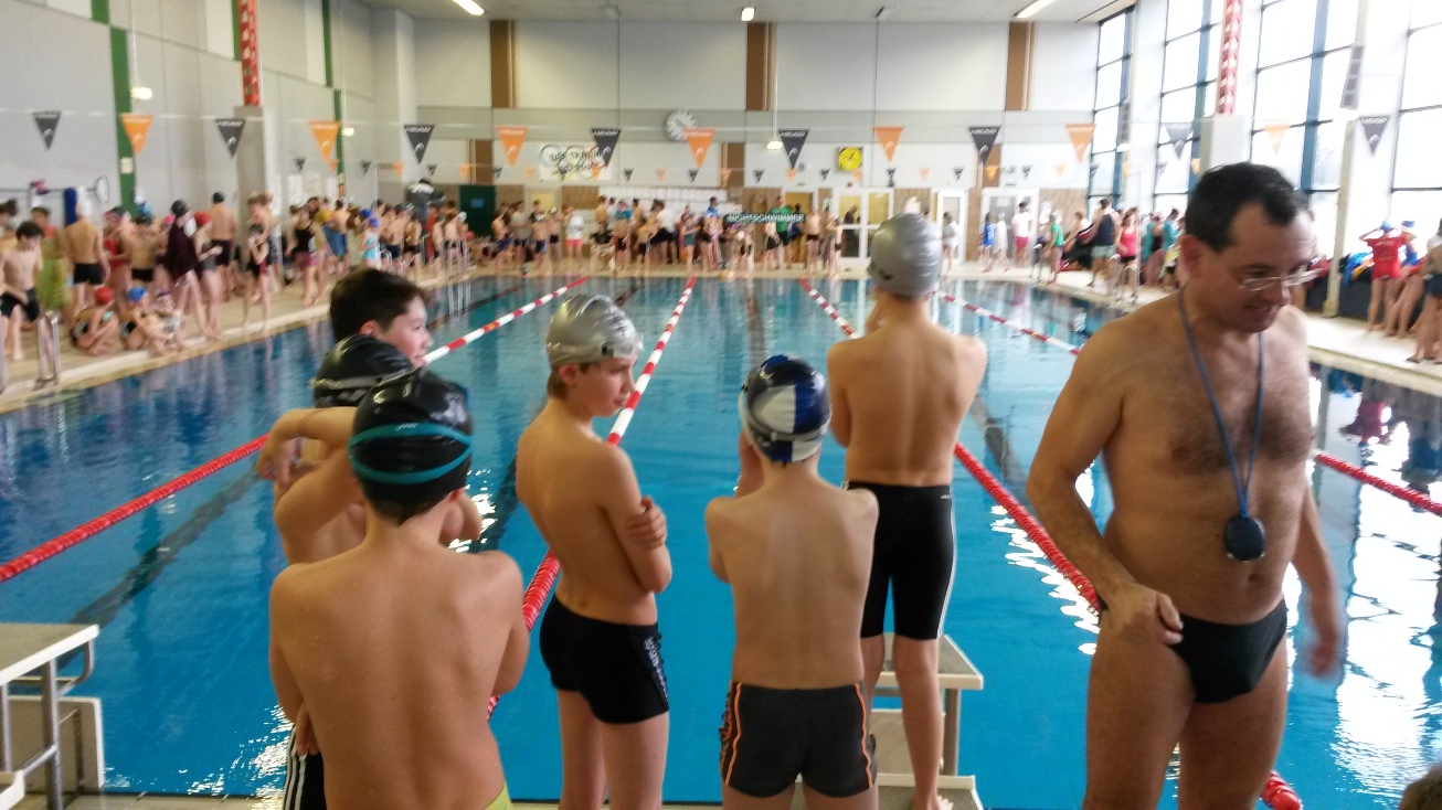Bezirksfinale Schwimmen personen small