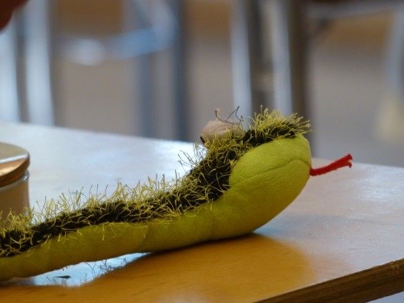 Dschungelbuch in Latein Libellus Silvae (Herr Heitz)